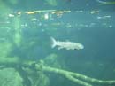 Kiva Beach - Stream Profile Chamber