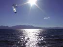 kite-board