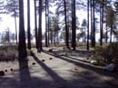 Nevada Beach Photos