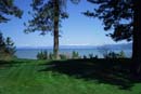 Beachfront lawn