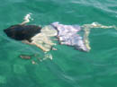 Crystal clear water