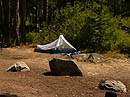 Camp site at Sardine Lake Campground