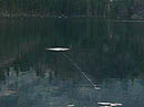 Fishing on Sardine Lake at sunset.