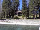 Family of otters in Sardine Lake
