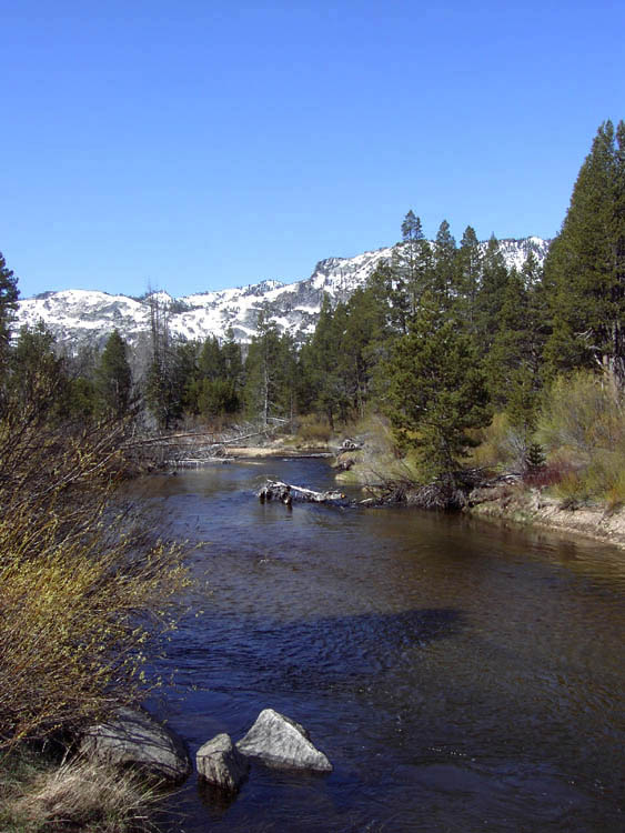 Upper Truckee River