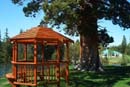 Gazebo at Tahoe Paradise Park