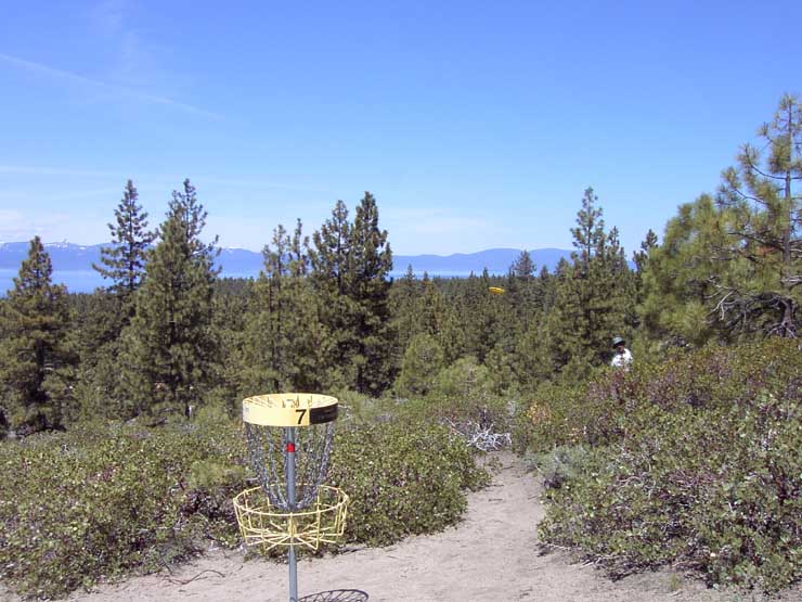 Disc Golf Putt