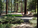 Group Picnic Area and Volleyball