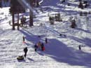 Lake Tahoe Sledding Photos