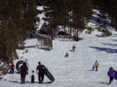 Lake Tahoe Sledding Photos