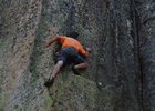 Old Camp Bluff rock climbing