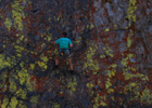 Rock climbing at Shakespeare Rock