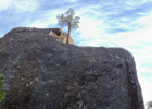 Sugarloaf rock climbing