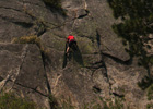 Guntower Wall