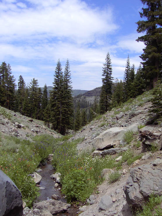 Disc in deep ravine at Kirkwood