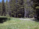 Kirkwood Wildflower Festival picture
