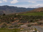 Hole 14 - Par 4