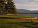 17green