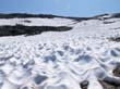 Mount Dana hike