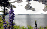 Emigrant Lake Hike