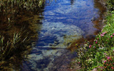 Emigrant Lake Hike