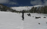 Freel Peak photo