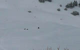 Freel Peak photo