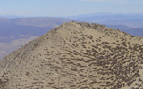 Freel Peak photo