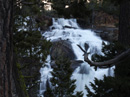 Waterfall and trees