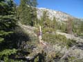Jobs Peak Photo