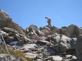 Jobs Peak Photo