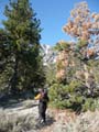 Jobs Peak Photo