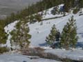 Jobs Peak Photo