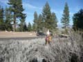 Jobs Peak Photo