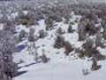 Skiing heavenly's forbidden backside