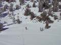 Powder Skiing