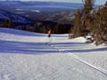 Powder Skiing