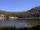 woods-lake