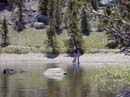 frog_lake1