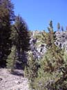 hiking
