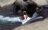 Potholes swimming hole