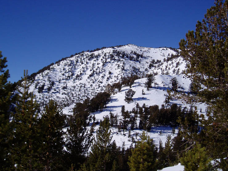 PC040003