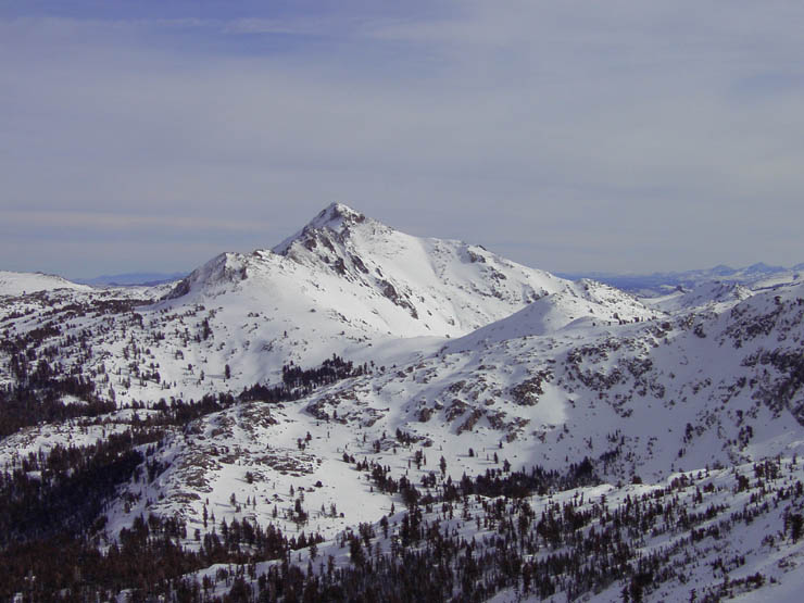 Round Top Gallery photos