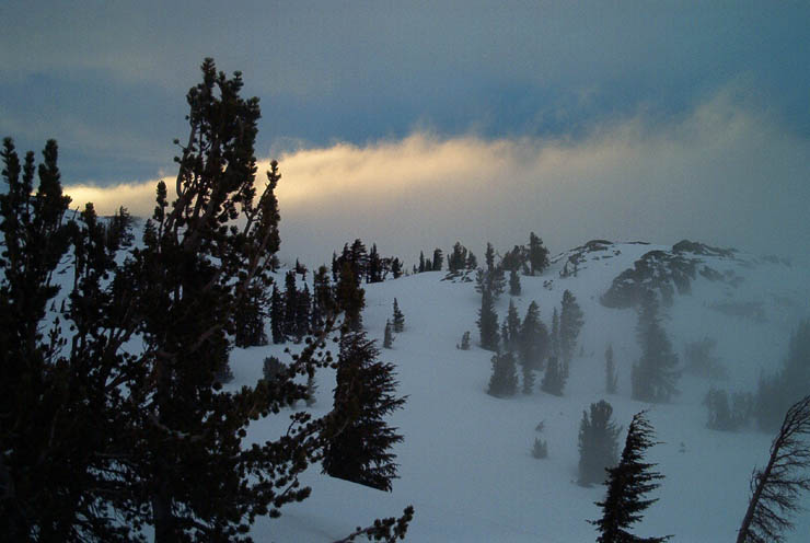 Round Top Gallery photos