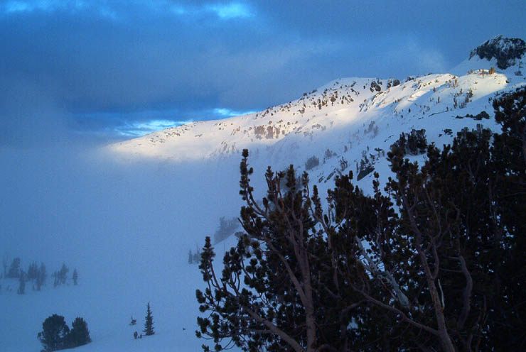 Round Top Gallery photos