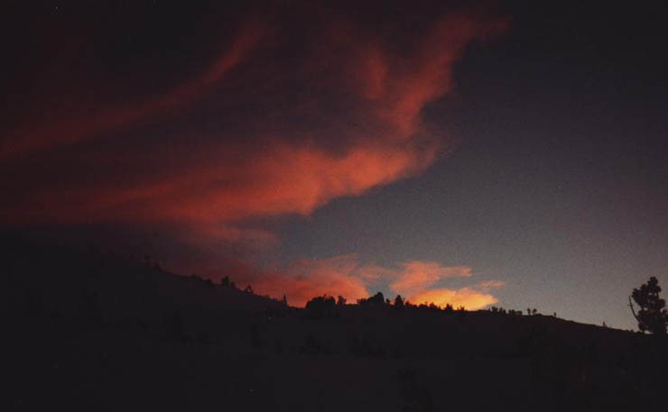 Round Top Gallery photos