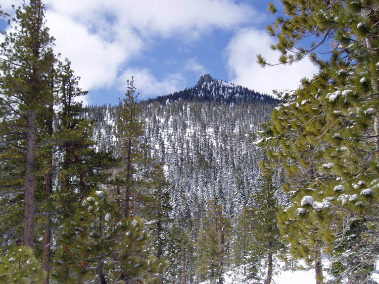 powderdayz