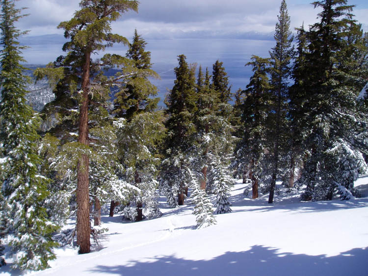 powderdayz
