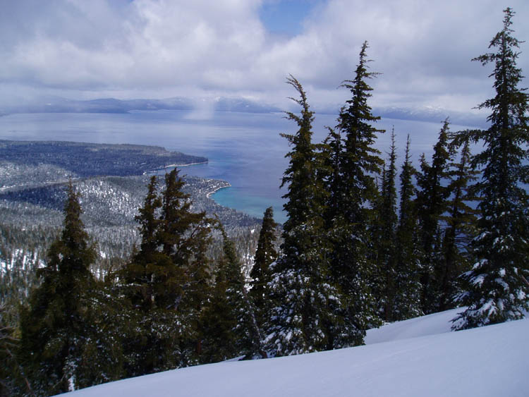 powderdayz