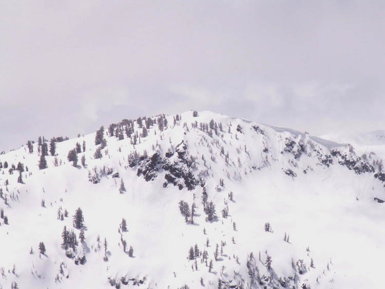 powderdayz-kon